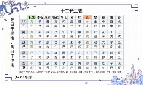 十二生旺|十二长生表：生旺死绝胎养过程